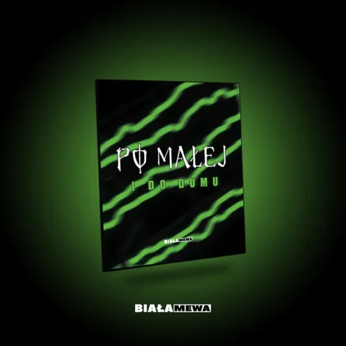 DWUSTRONNA LUSTRZANA TACKA - PO MAŁEJ I DO DOMU #ENERGY | BIAŁA MEWA SKLEP