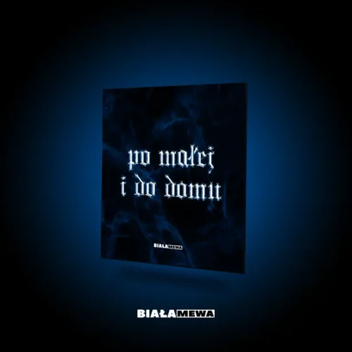 DWUSTRONNA LUSTRZANA TACKA - PO MAŁEJ I DO DOMU | BIAŁA MEWA SKLEP