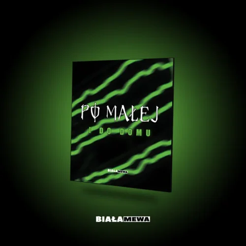 DWUSTRONNA LUSTRZANA TACKA - PO MAŁEJ I DO DOMU #ENERGY | BIAŁA MEWA SKLEP