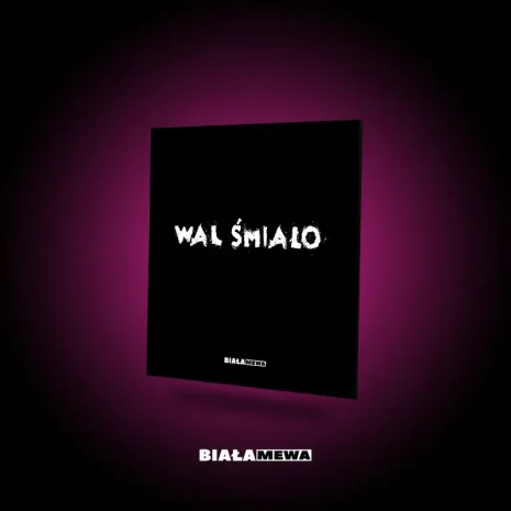 DWUSTRONNA LUSTRZANA TACKA - WAL ŚMIAŁO | BIAŁA MEWA SKLEP