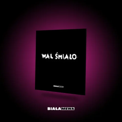 DWUSTRONNA LUSTRZANA TACKA - WAL ŚMIAŁO | BIAŁA MEWA SKLEP