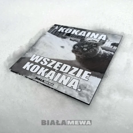 cka-biala-mewa-sklep-zima-koka-kot-2 cka-biala-mewa-sklep-zima-koka-kot-2