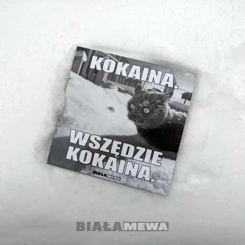 BIALA-MEWA-SKLEP