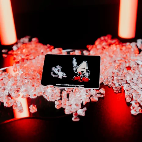 biala-mewa-sklep-dres-kreska-fresz-18 biala-mewa-sklep-dres-kreska-fresz-18